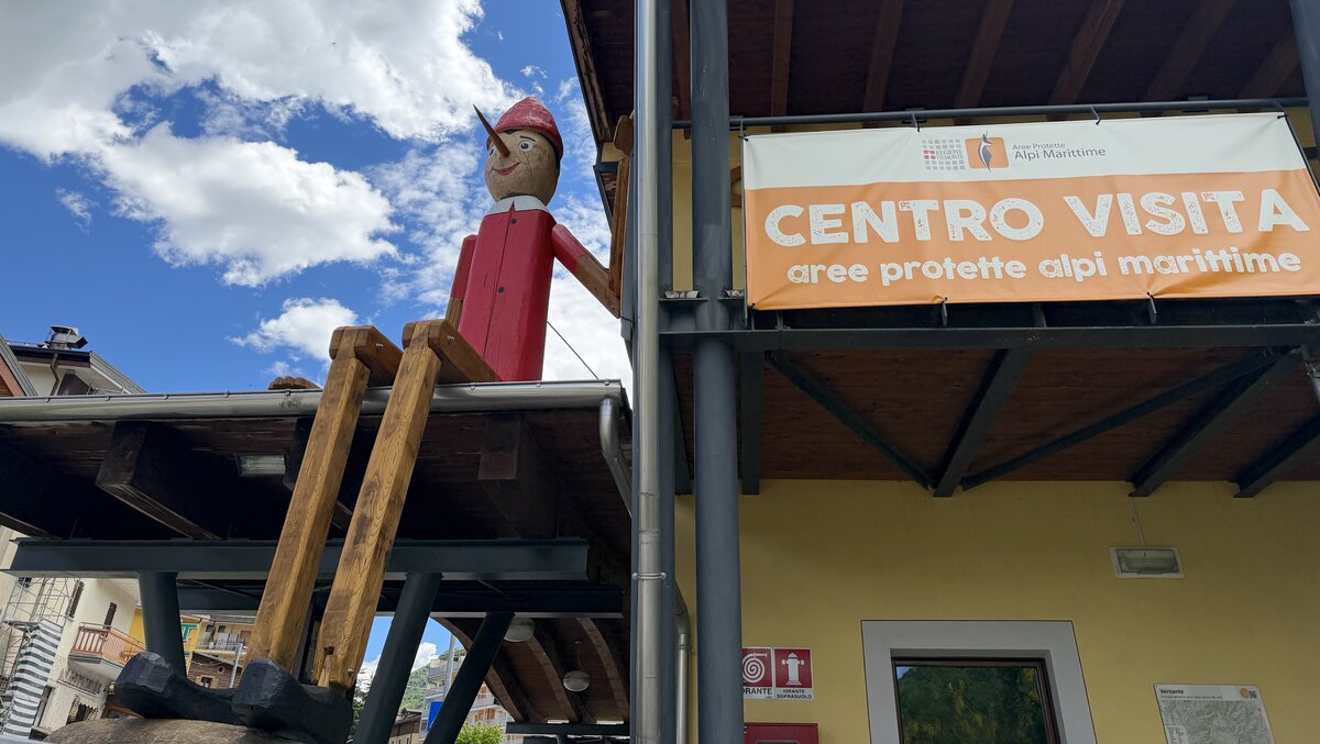 Nella foto si vede Il nuovo Pinocchio gigante di Vernante seduto sul tetto del Centro di visita dei Parchi delle Alpi Marittime | G. Bernardi Fine descrizione foto.