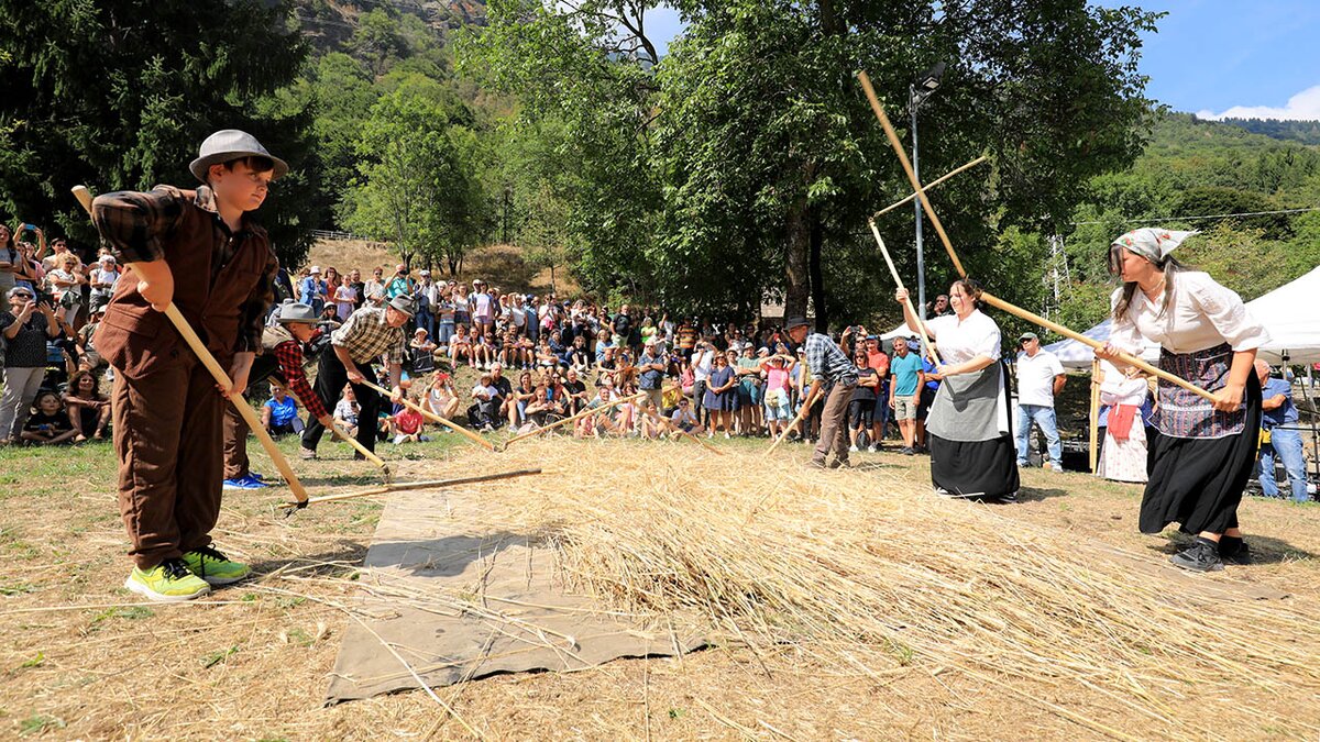 Festa della Segale: nuove generazioni impegnate nella tradizionale battitura del cereale con la cavaglia. Autore Giorgio Bernardi. Fine descrizione della fotografia.